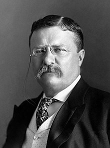 Theodore Roosevelt jr