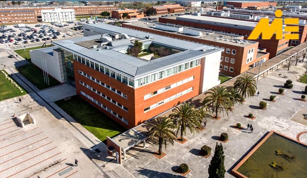 دانشگاه آویرو پرتغال